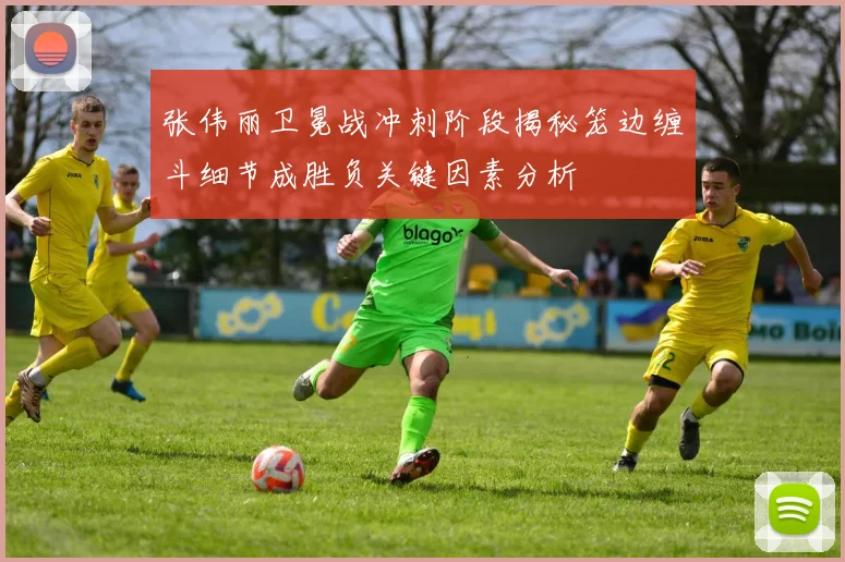 张伟丽卫冕战冲刺阶段揭秘笼边缠斗细节成胜负关键因素分析