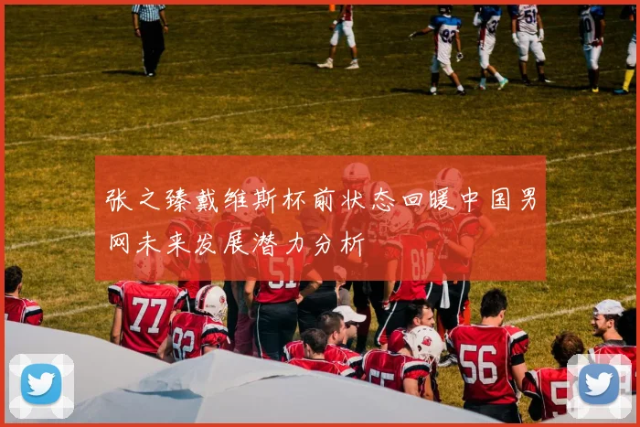 张之臻戴维斯杯前状态回暖中国男网未来发展潜力分析