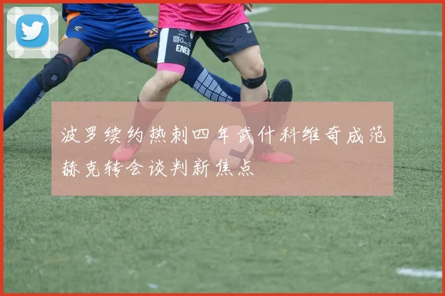 波罗续约热刺四年武什科维奇成范赫克转会谈判新焦点
