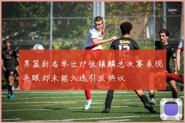 男篮新名单出炉张镇麟总决赛表现亮眼却未能入选引发热议
